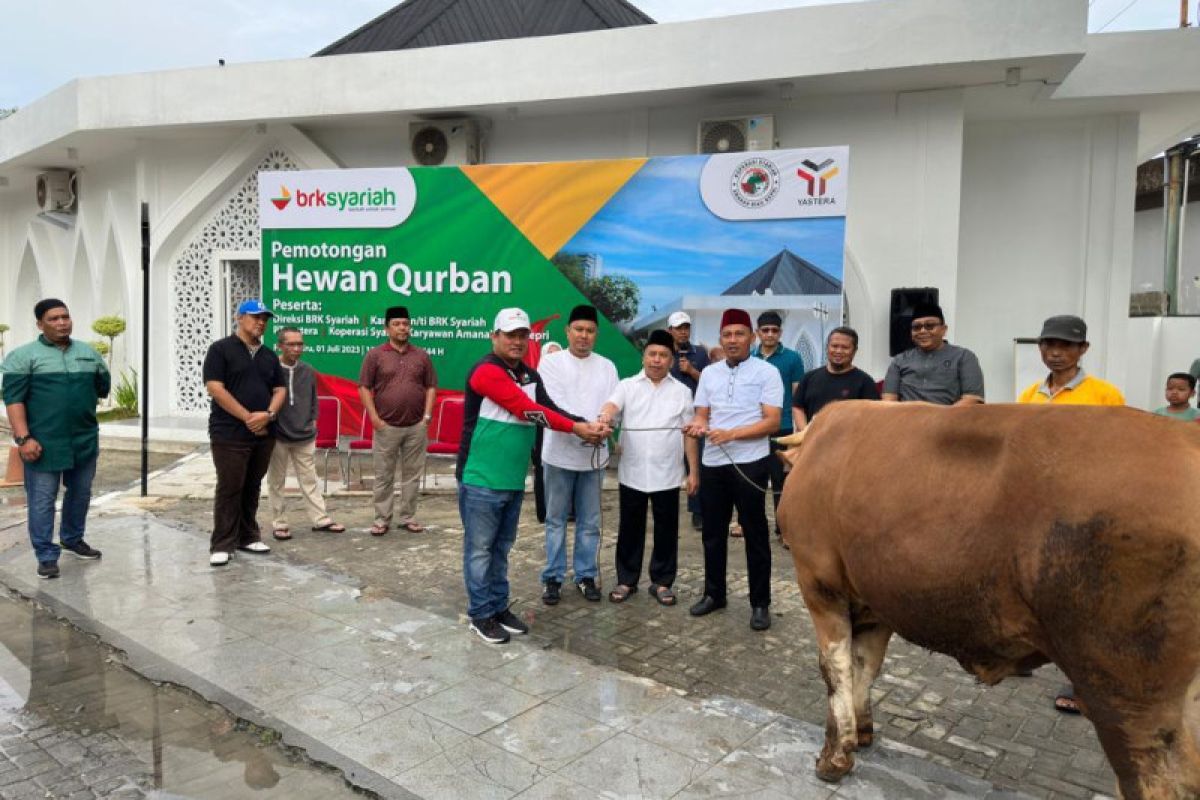 Karyawan BRK Syariah potong lima sapi dan dua kambing kurban