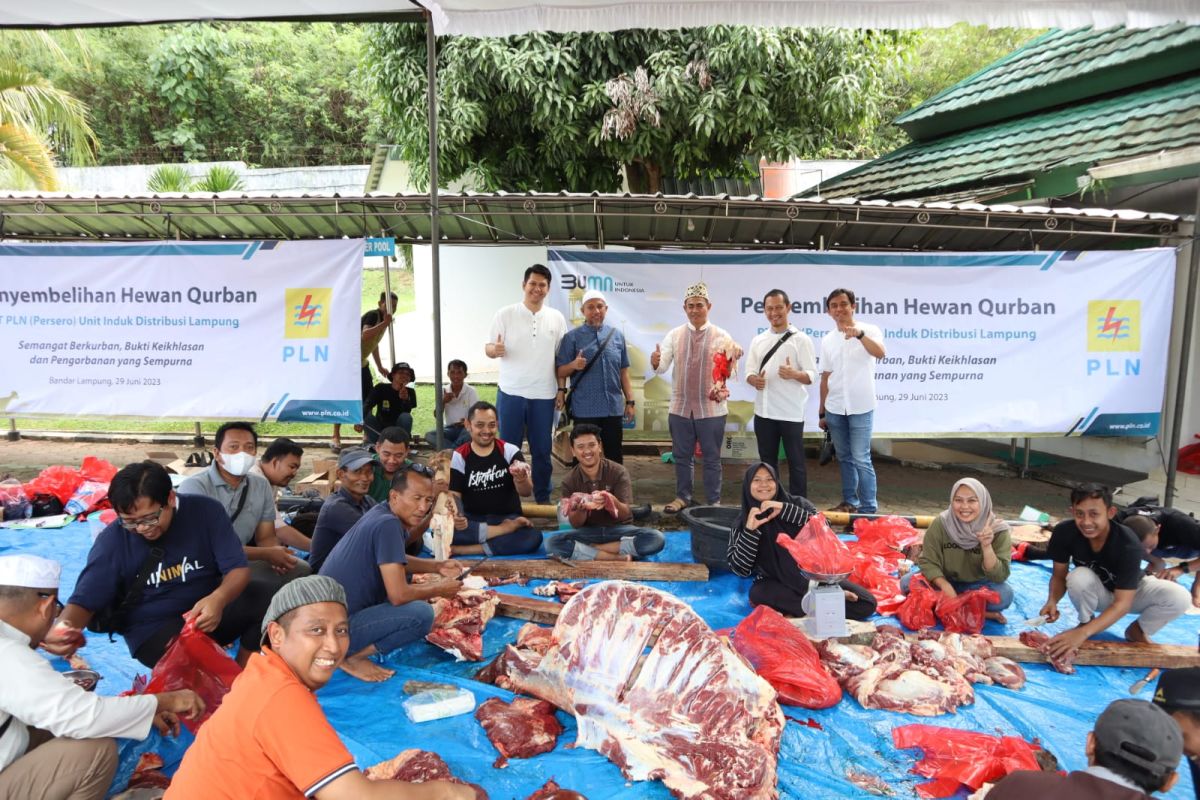 PLN UID Lampung salurkan ratusan paket daging kurban