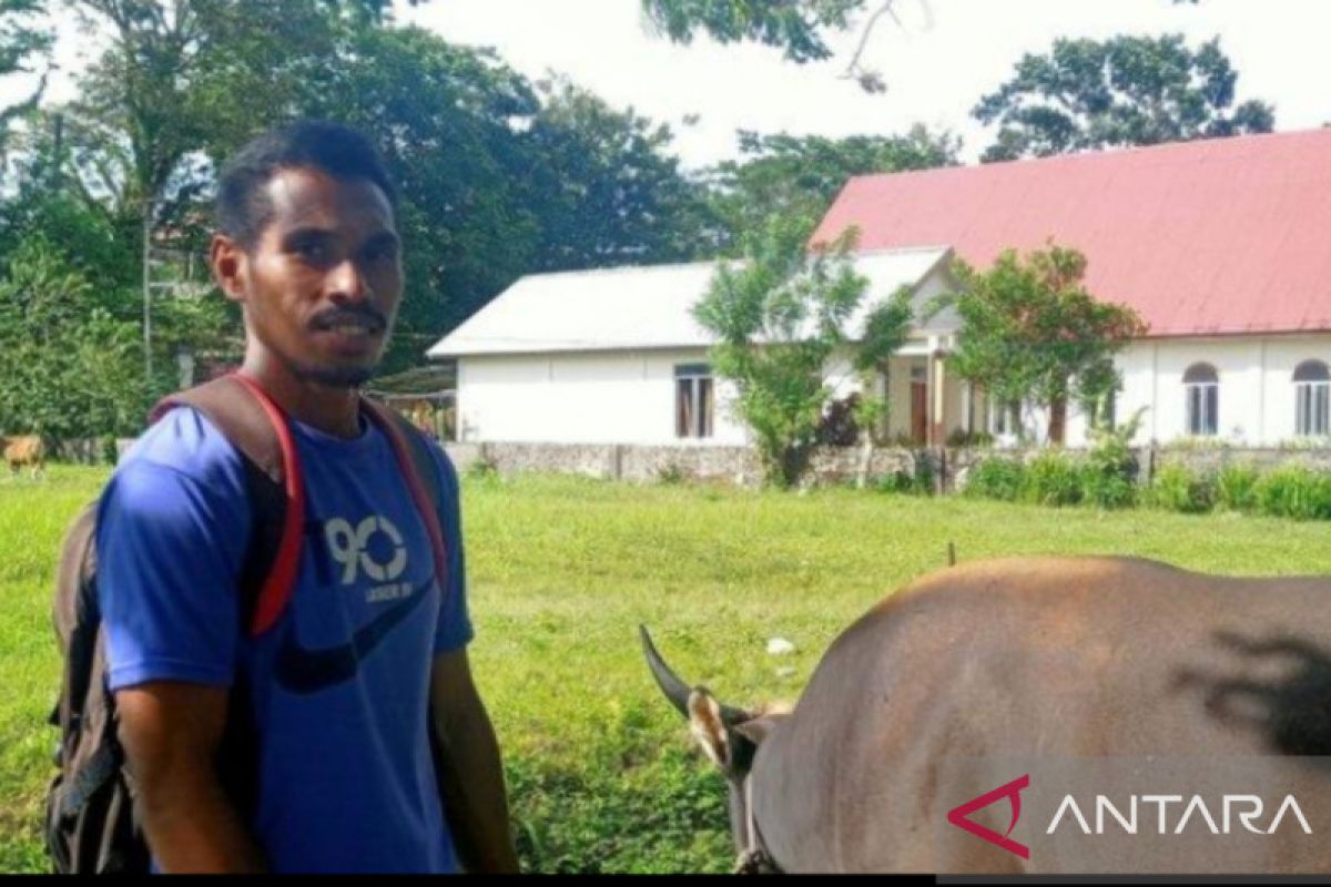 Luki, si pengembala sapi itu sebentar lagi diwisuda di Unpatti