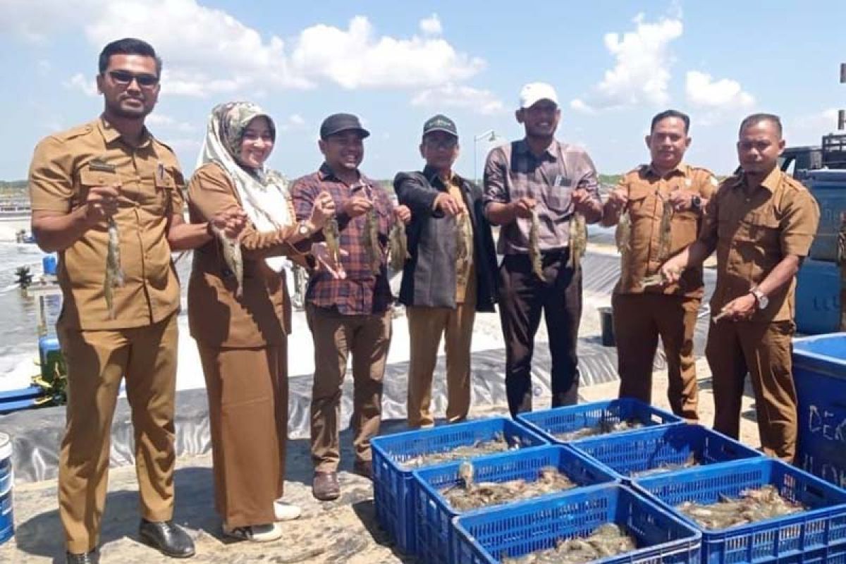 Pj Bupati Aceh Timur ajak masyarakat budi daya udang sistem aquakultur
