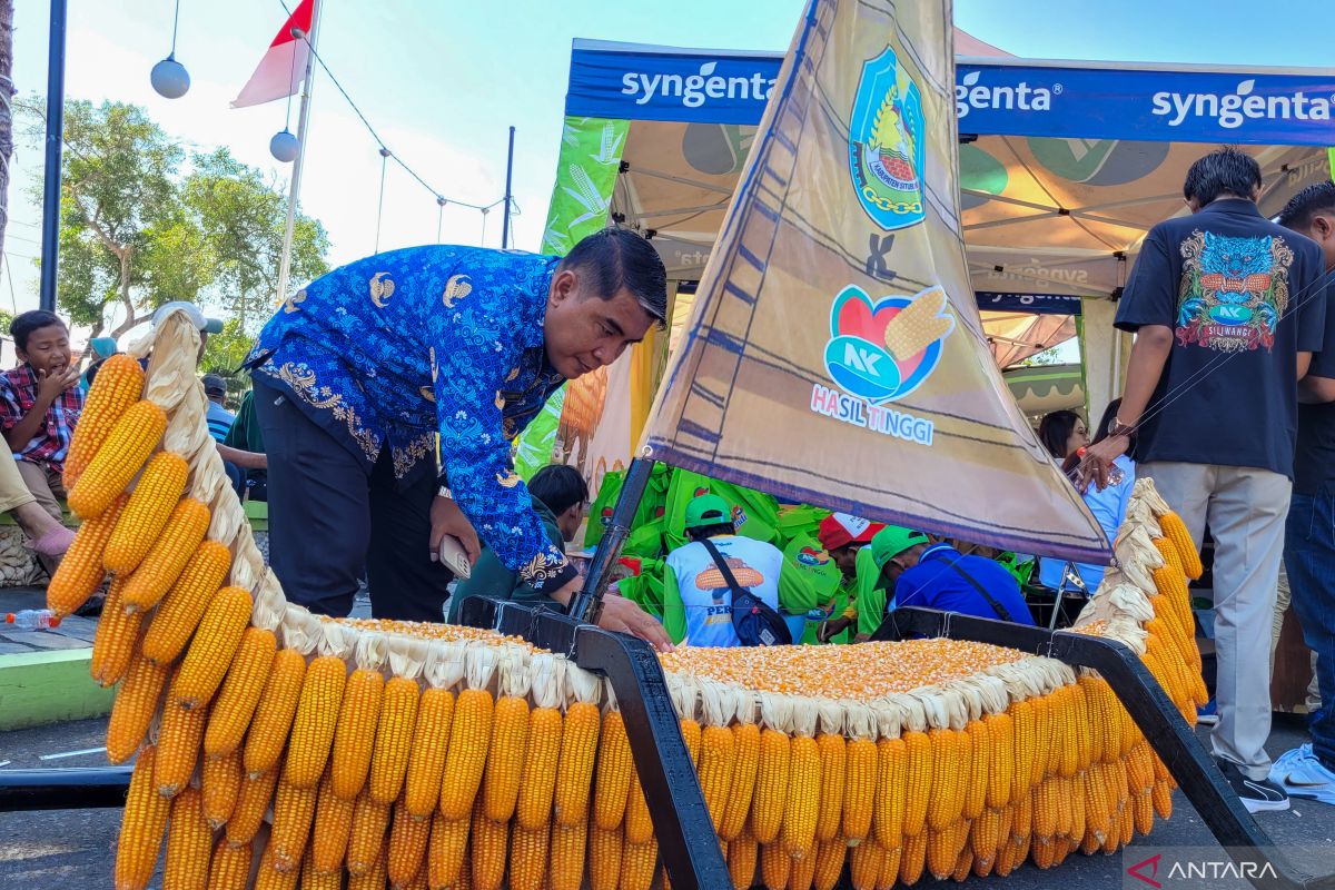 Pemkab Situbondo perkenalkan bibit jagung NK