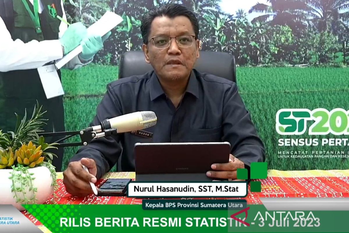 BPS: Sumatera Utara topang ekonomi Pulau Sumatera