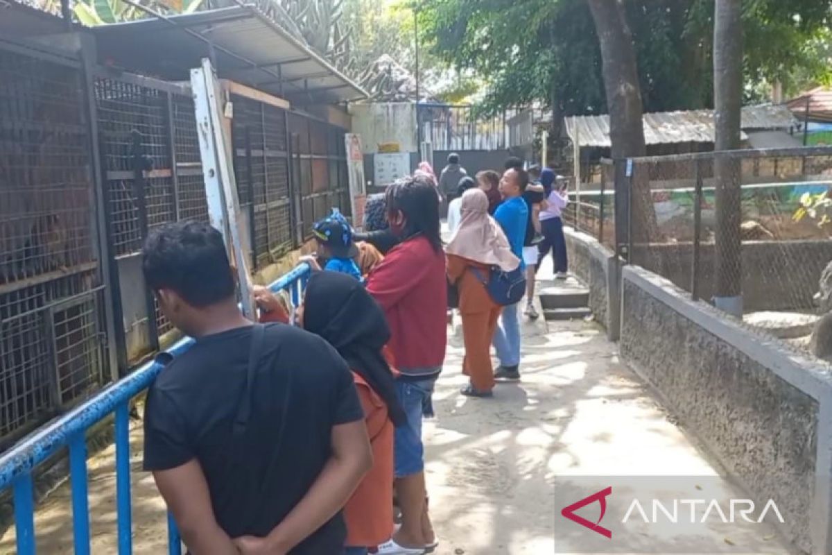 Pengunjung Taman Umbul Madiun meningkat saat libur panjang Idul Adha