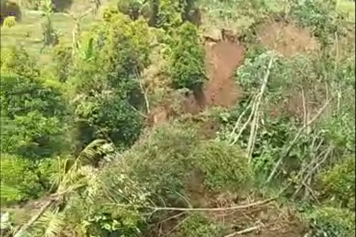 BPBD Nganjuk tangani longsor diduga imbas gempa di Bantul