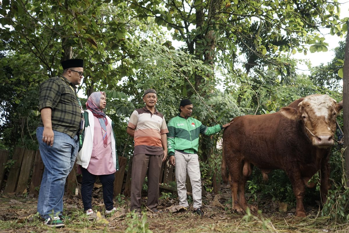 Grab Indonesia salurkan sapi 1 ton dan ratusan kambing