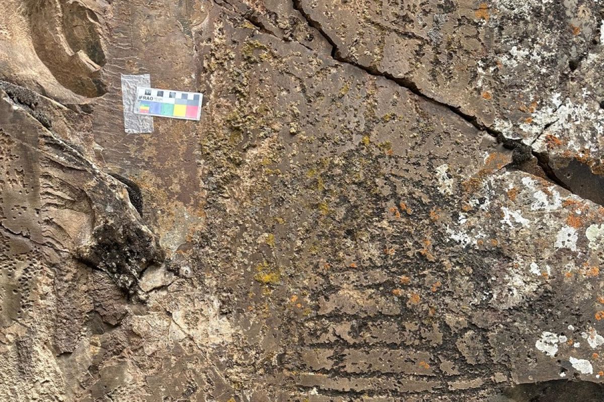 Lukisan batu ditemukan di Qinghai, China barat laut