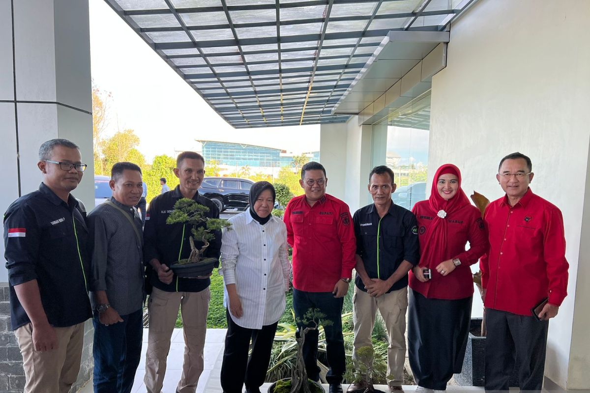 Mensos Risma terima bonsai dari PPBI Bangka Selatan