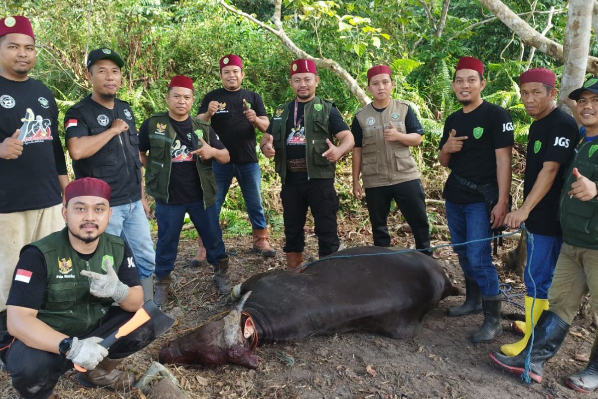 JGS Tabalong potong 348 hewan kurban