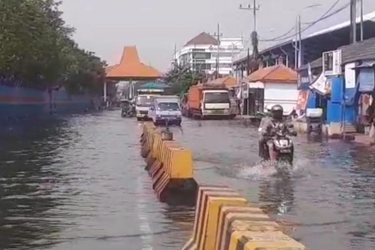 BMKG imbau masyarakat waspadai banjir rob di Pesisir Surabaya