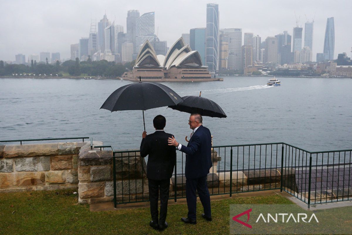 PM Albanese-Jokowi pandangi Sydney Opera House di bawah rintik hujan