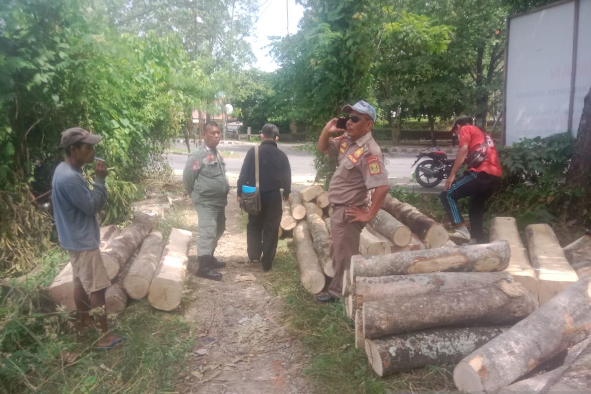 Satpol PP periksa penebang pohon di lahan milik Pemkab Sukabumi