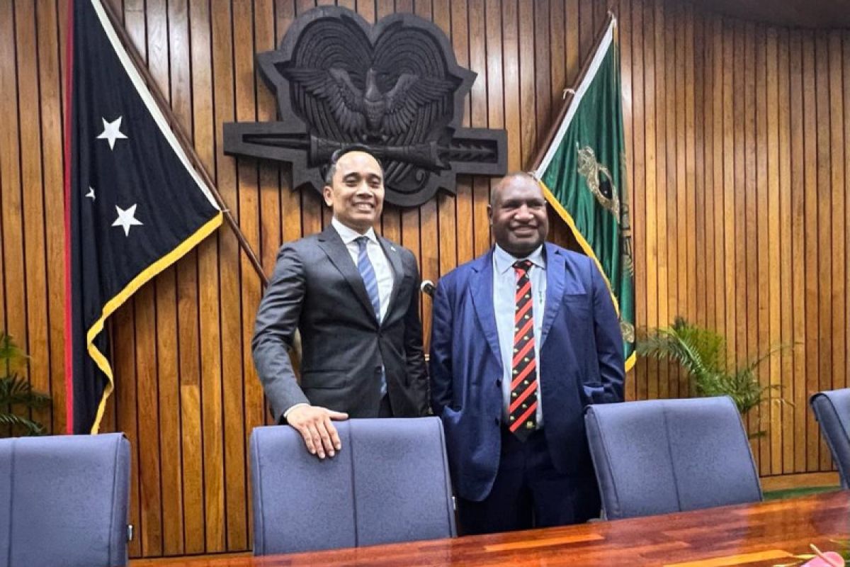 Wakil Ketua BKSAP DPR sebut WNI bisa ke Papua Nugini tanpa visa