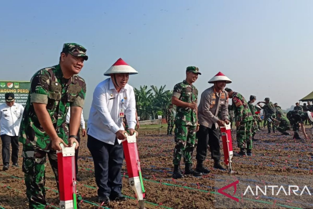 Pemkab Bekasi-TNI AD kolaborasi tanam jagung jaga ketahanan pangan