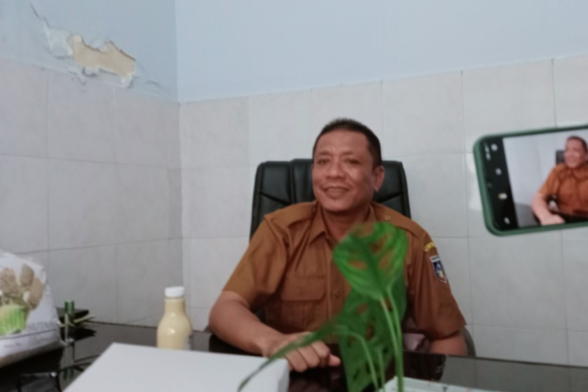 Pemkab Lombok Tengah mengembangkan tanaman sorgum
