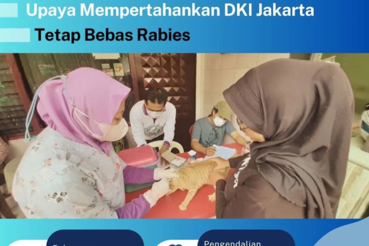 Pemprov DKI tingkatkan layanan vaksinasi dan sterilisasi hewan rabies
