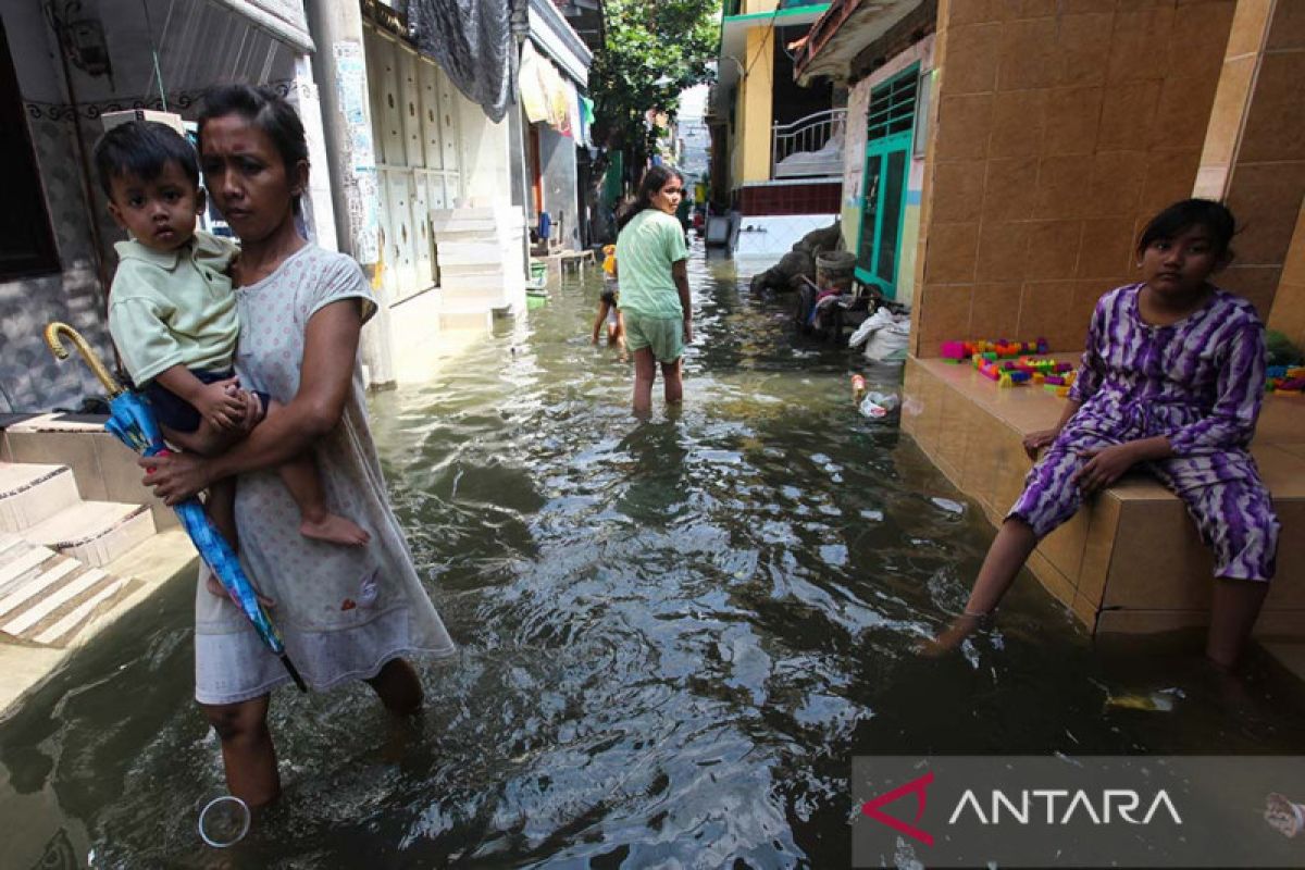 Pesisir Kaltim perlu waspada dampak pasang purnama hingga 5 September