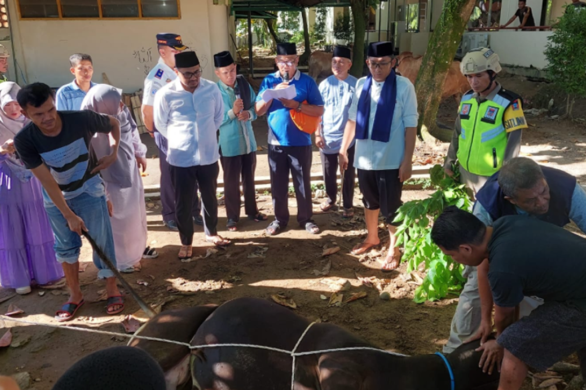 Pemkot Padang ajak warga batasi konsumsi daging sapi pasca-Idul Adha