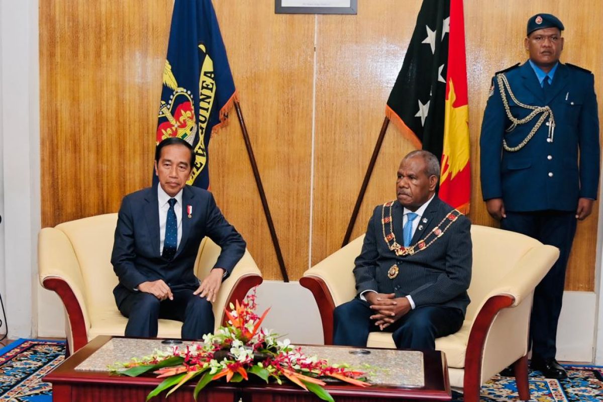 Jokowi dan Gubernur Jenderal Papua Nugini Bob Dadae bertemu di Government House