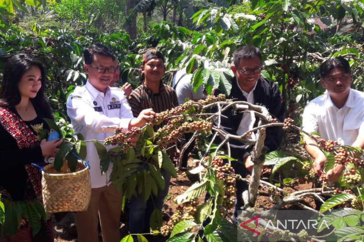BUMN genjot produksi kopi rakyat di Jateng