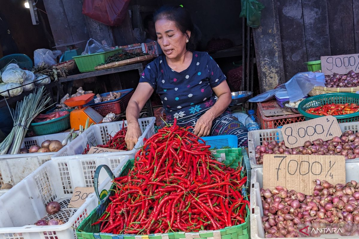 Pedagang berharap pemerintah kendalikan harga cabai merah