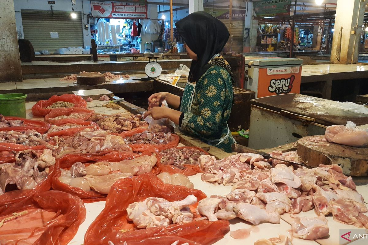 Mahalnya harga pakan penyebab naiknya harga daging ayam di Tangerang