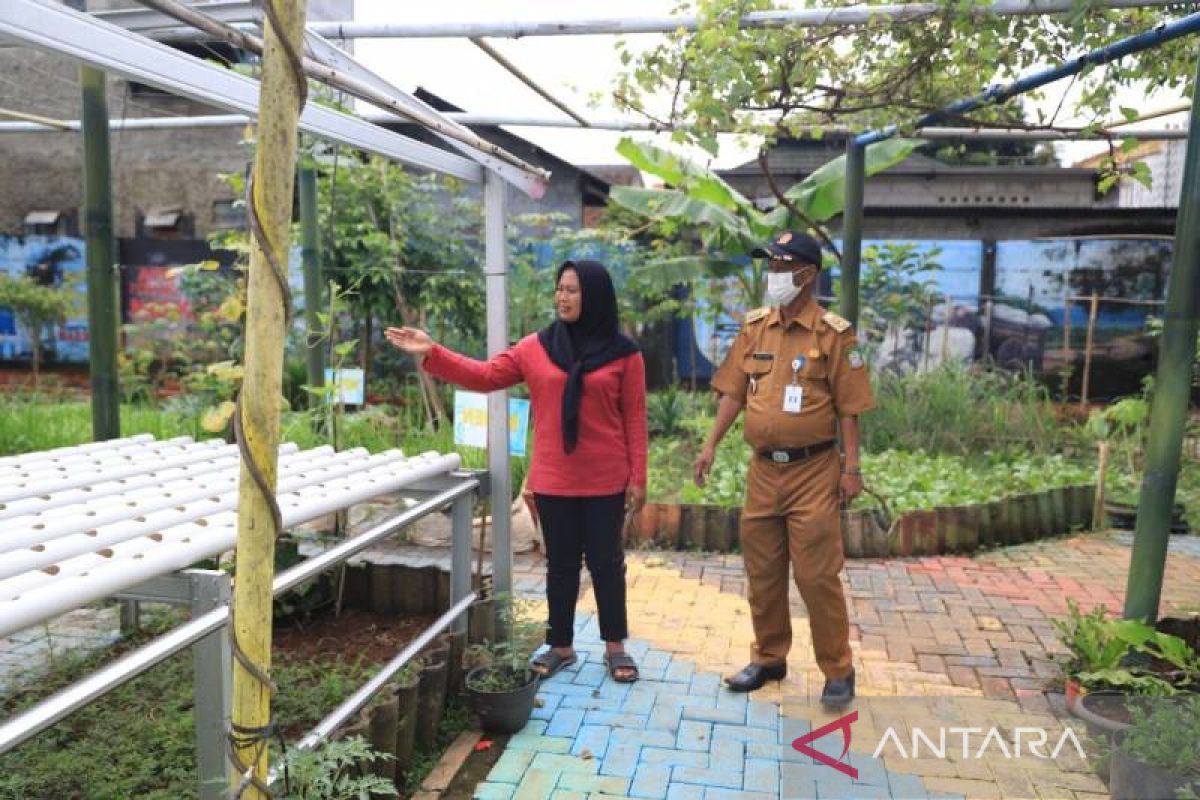 DLH Kota Tangerang buka peluang RW yang ingin dibina jadi kampung iklim