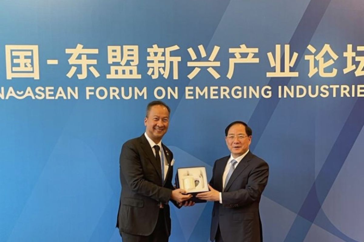 Indonesia, China discuss industrial cooperation