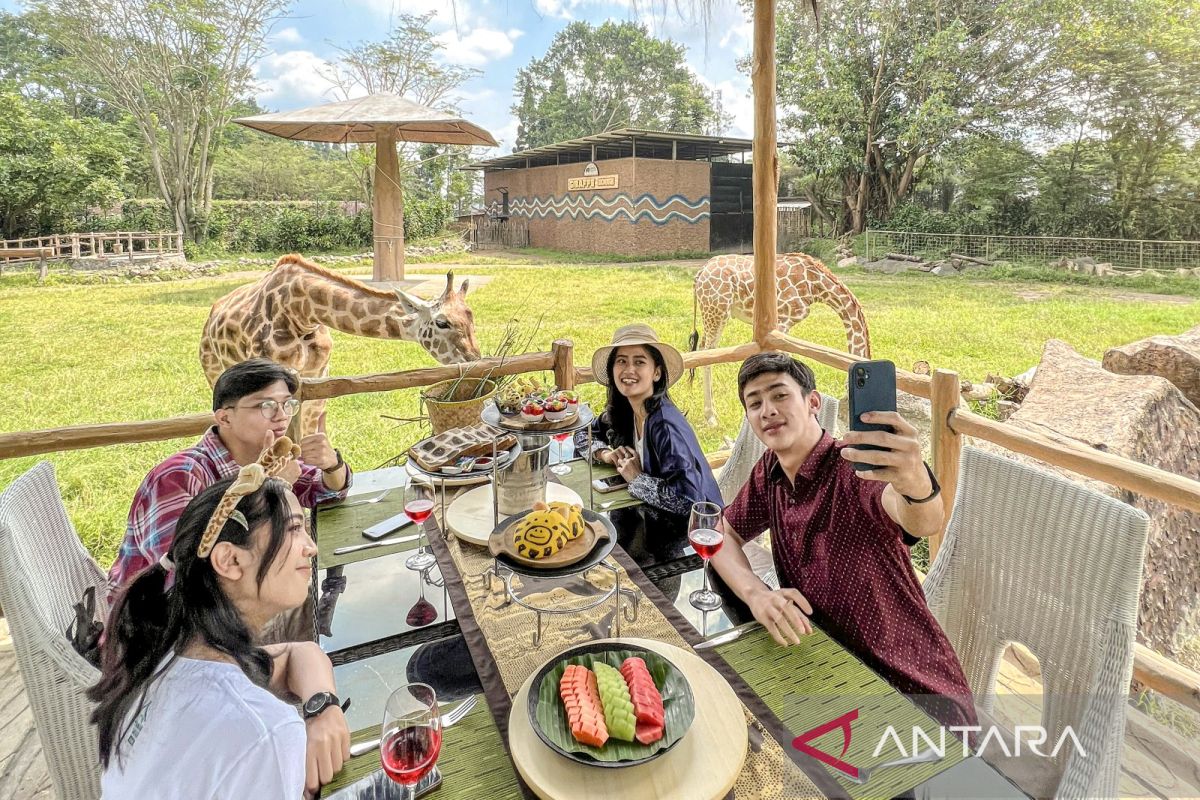 Royal Safari Garden tawarkan sensasi makan bersama jerapah