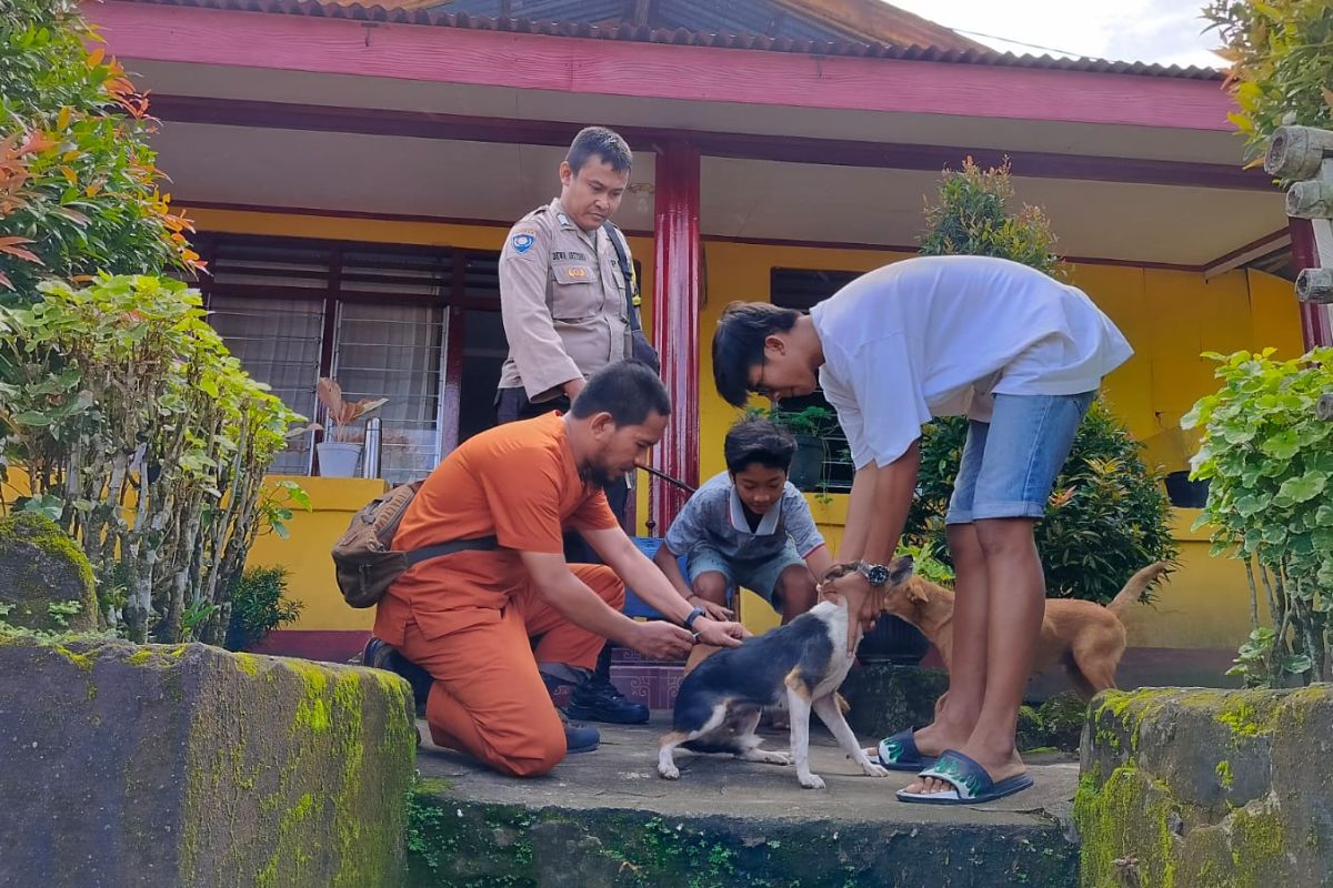 DPKP Ambon vaksin ratusan ekor anjing cegah  rabies