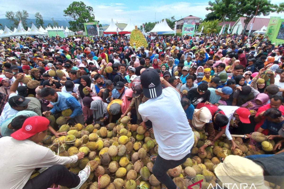 Pemkab Parigi Moutong sediakan 10 ribu durian di Festival Durian