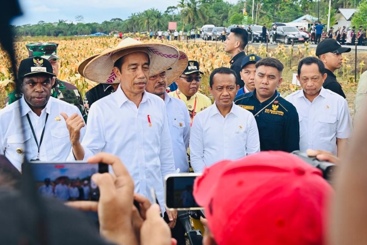 Jokowi dijadwalkan temui pelajar dan resmikan Papua Street Carnival
