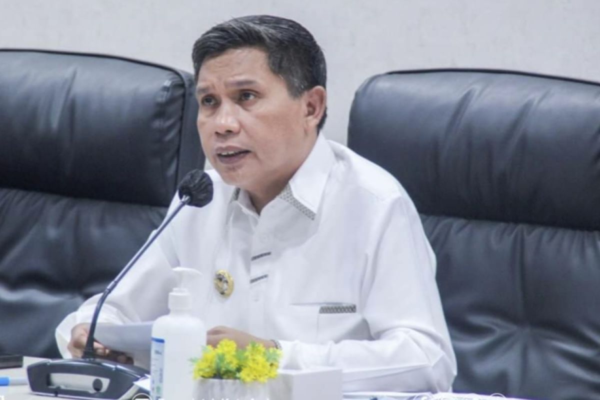 TPID Ambon meminta maskapai tekan harga tiket kendalikan inflasi