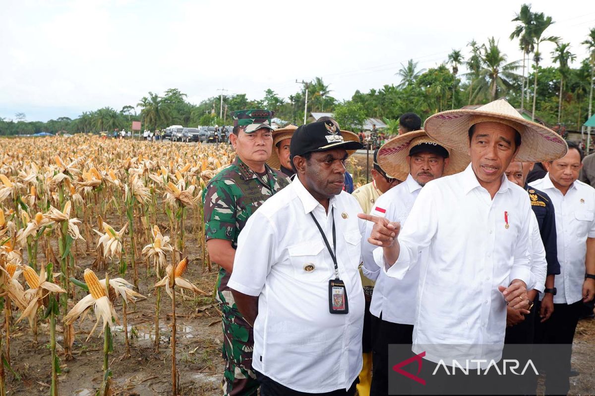 Presiden Jokowi temui pelajar di Papua