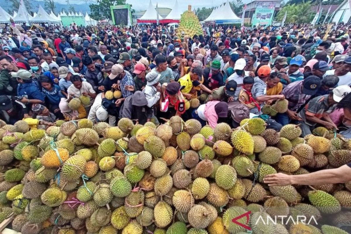 Kementan: Festival Durian di Parigi Moutong, Sulteng jadi sarana promosi pertanian