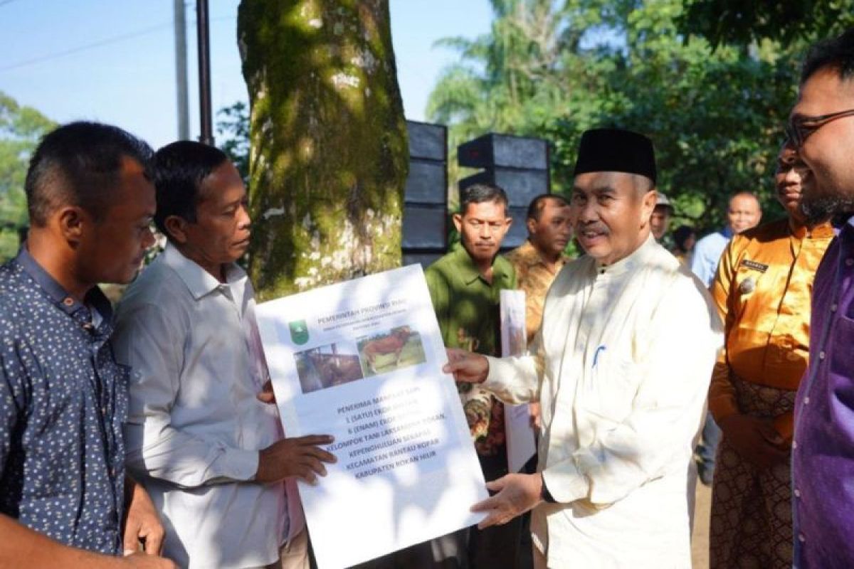 Pemerintah Provinsi Riau dorong pengembangan peternakan  sapi di Rokan Hilir