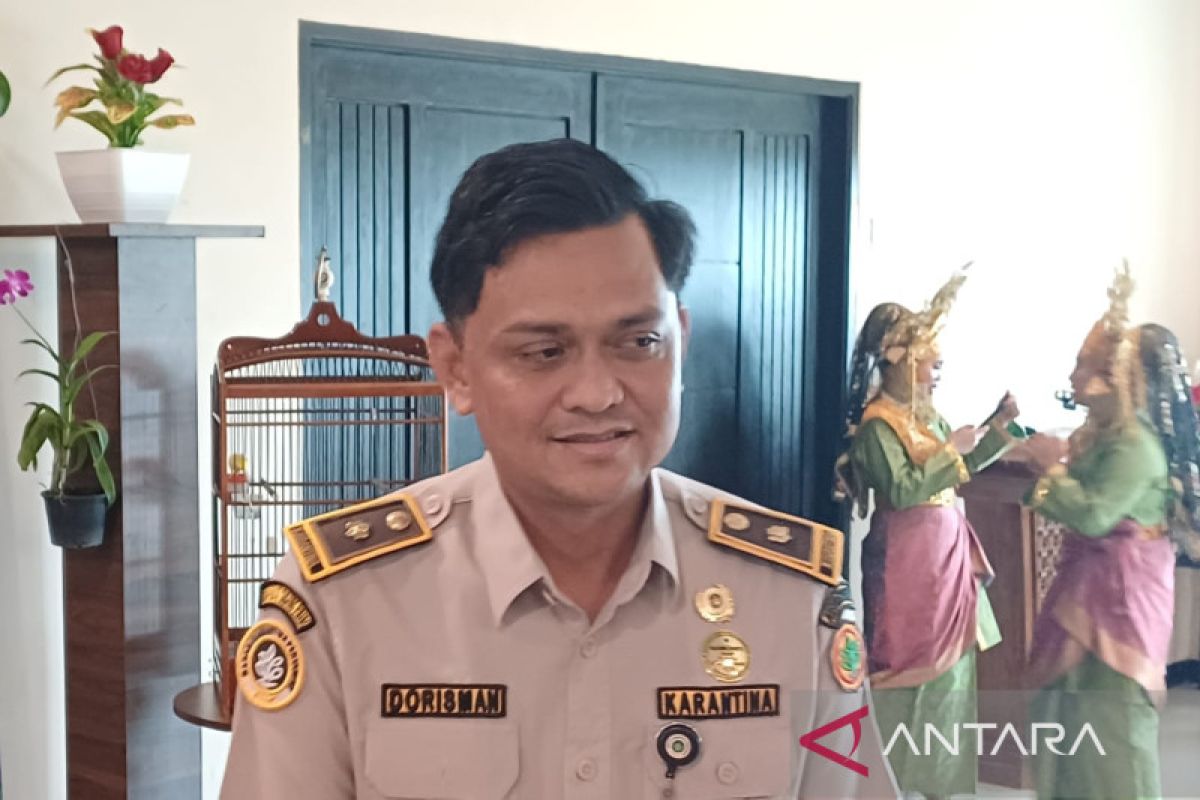 Karantina Tanjungpinang larang memasukkan anjing dan kucing dari provinsi lain