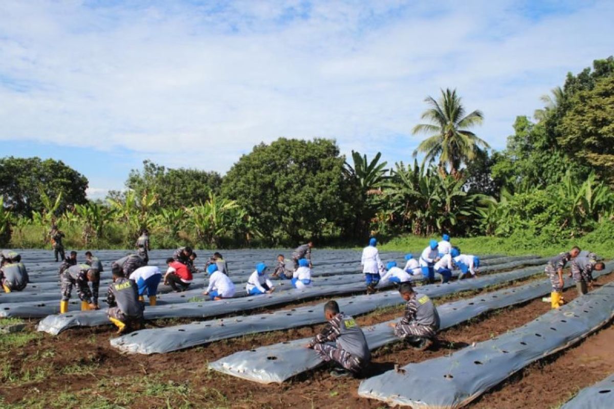 Lanudal Manado tanam enam komoditas di lahan ketahanan pangan
