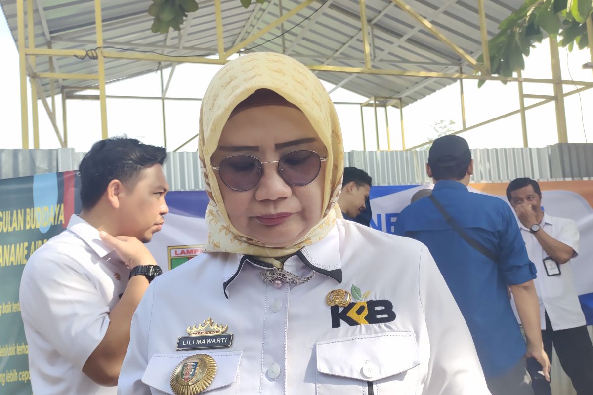 Distribusikan 79.480 dosis vaksin LSD oleh Disnakeswan Lampung