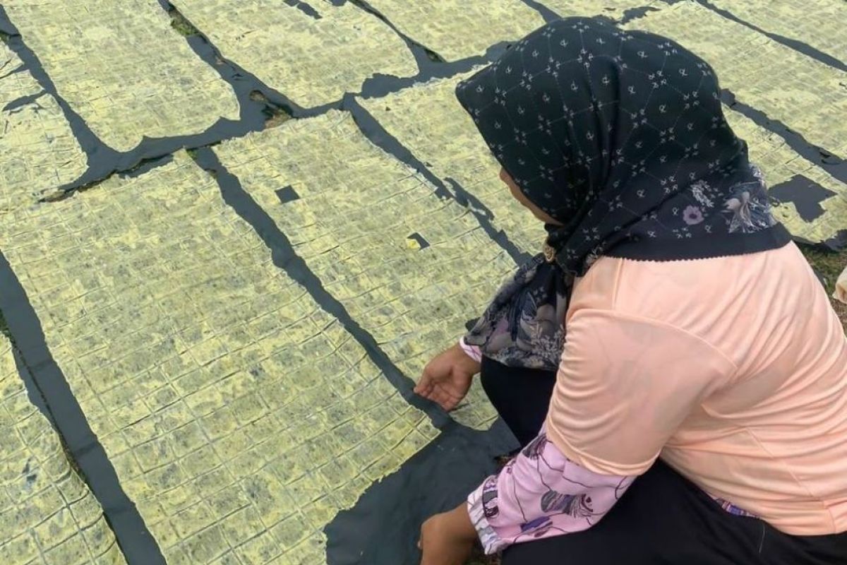Mak Ganjar latih ibu-ibu cara membuat opak dari ubi kayu
