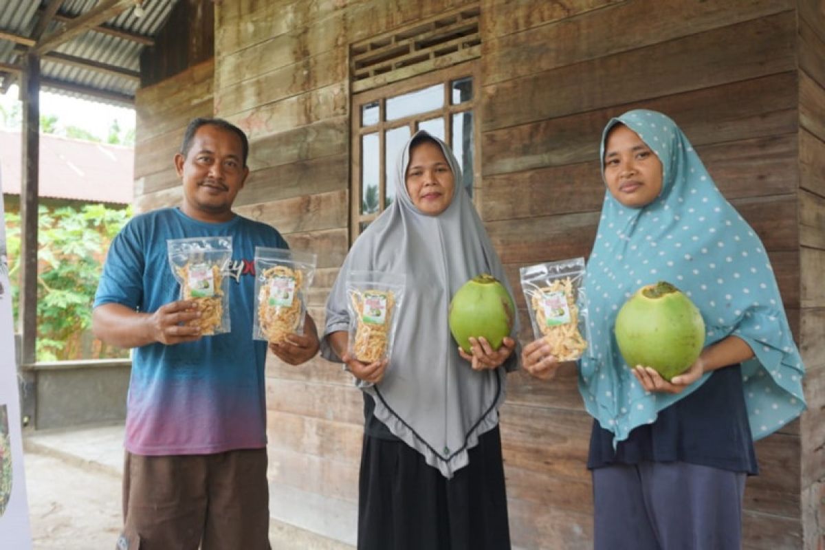 Petani Kelapa di Riau produksi keripik dan VCO bernilai jual tambah