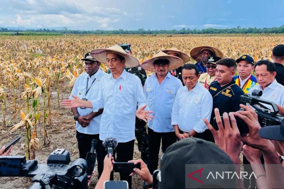 Jokowi: RI terbuka kerja sama hilirisasi mineral dengan Papua Nugini