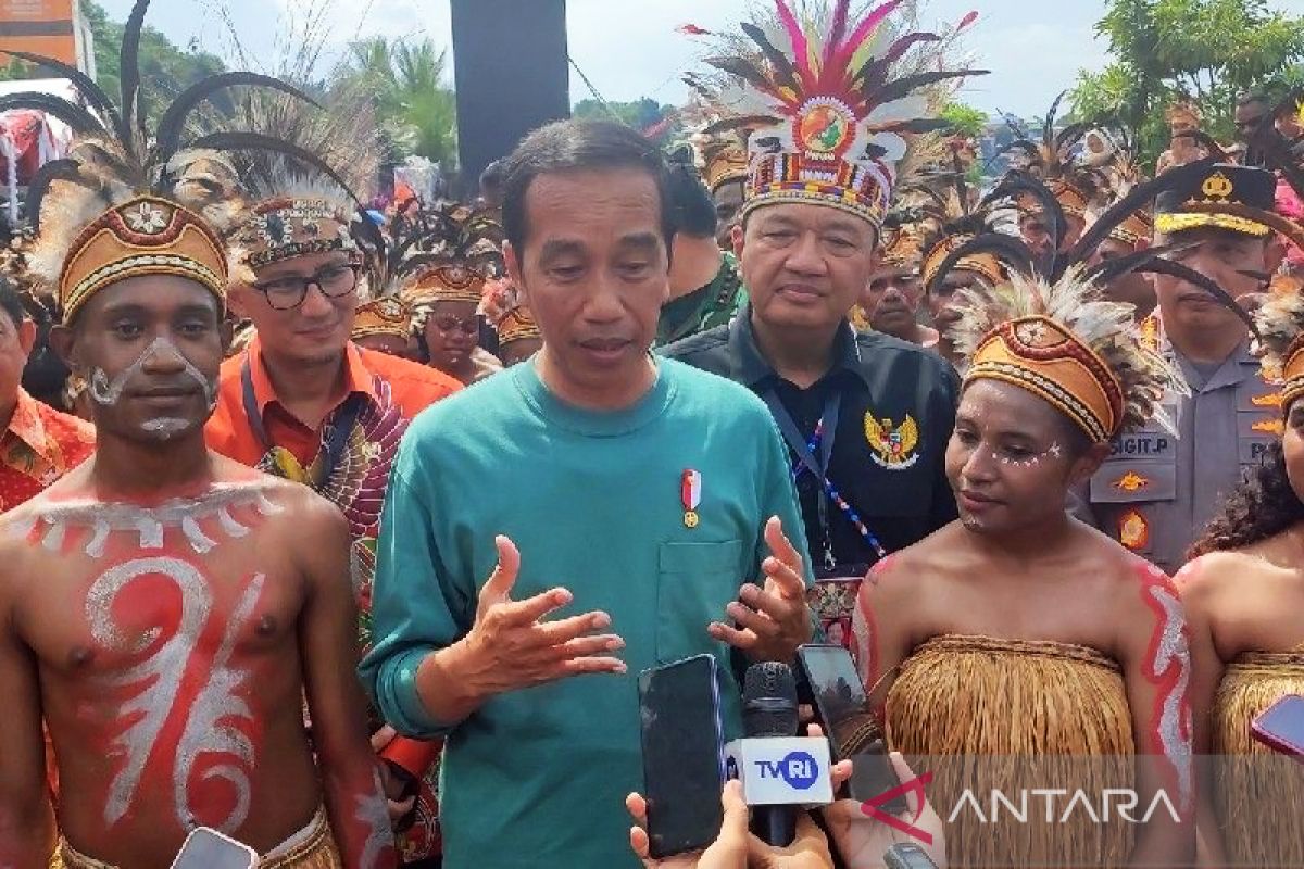 Presiden sebut potensi industri kreatif di Tanah Papua sangat besar