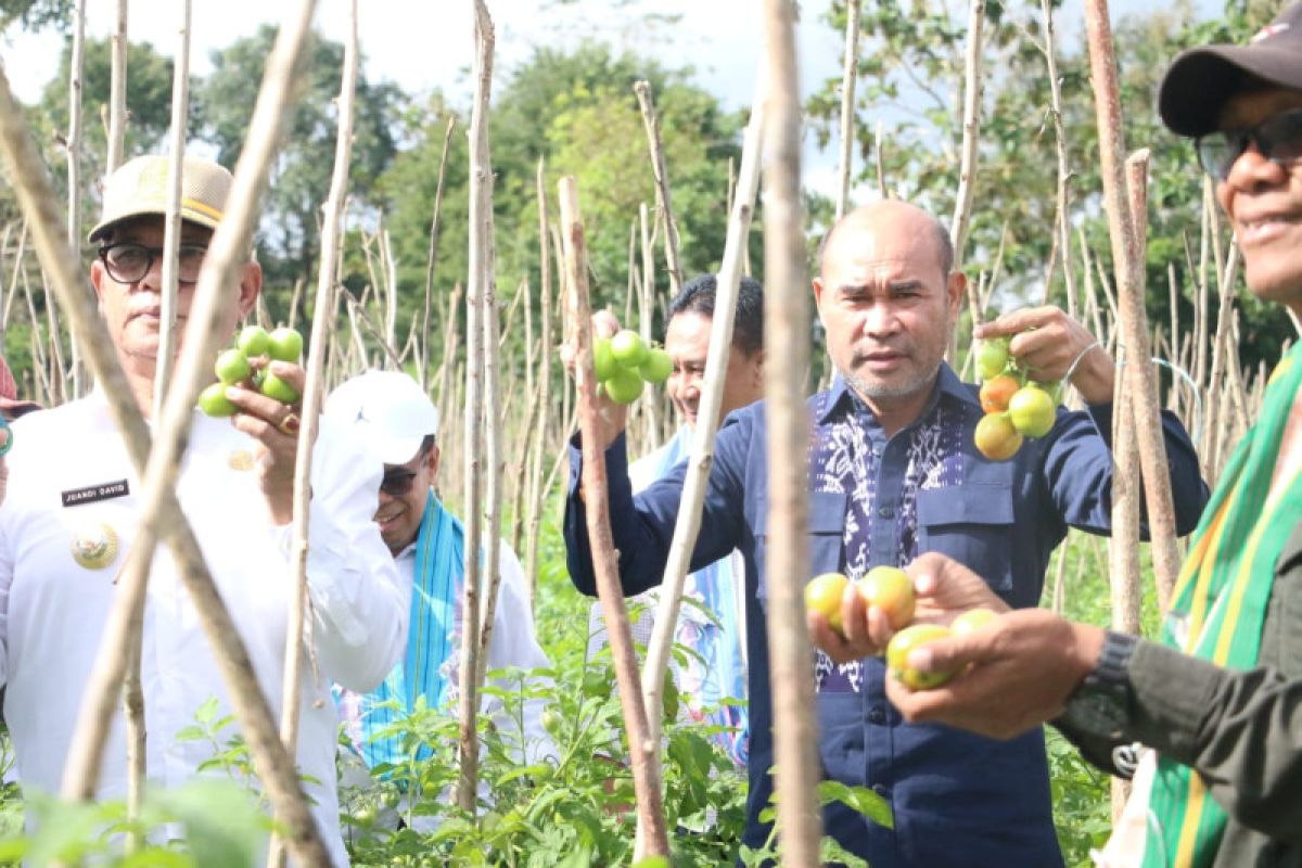 Pemprov  bantu sumur bor bagi kelompok tani milenial TTU