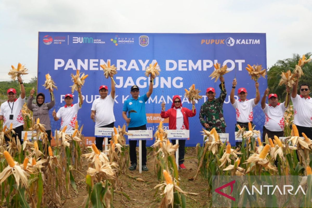 Pupuk Kaltim sukses tingkatkan produktivitas jagung di Bontang