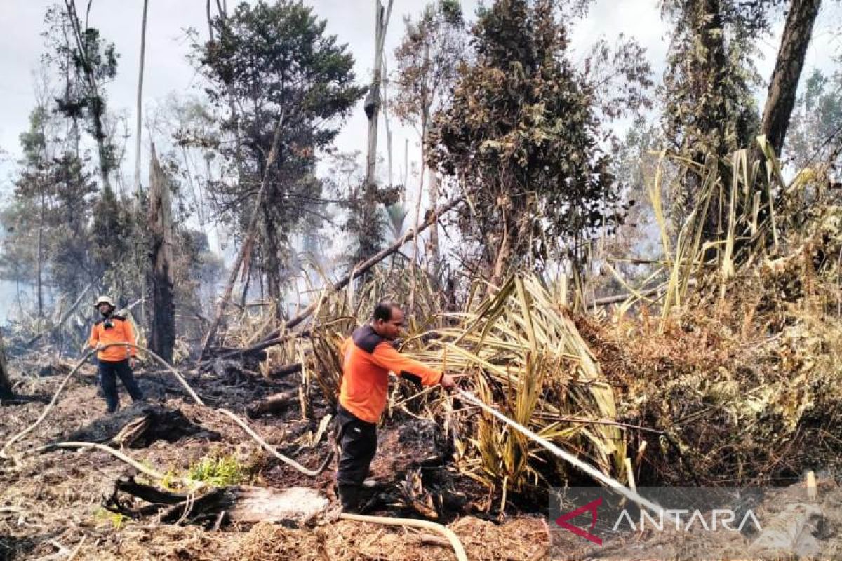 BPBD Aceh Barat padamkan kebakaran lahan di tiga kecamatan, begini penjelasannya