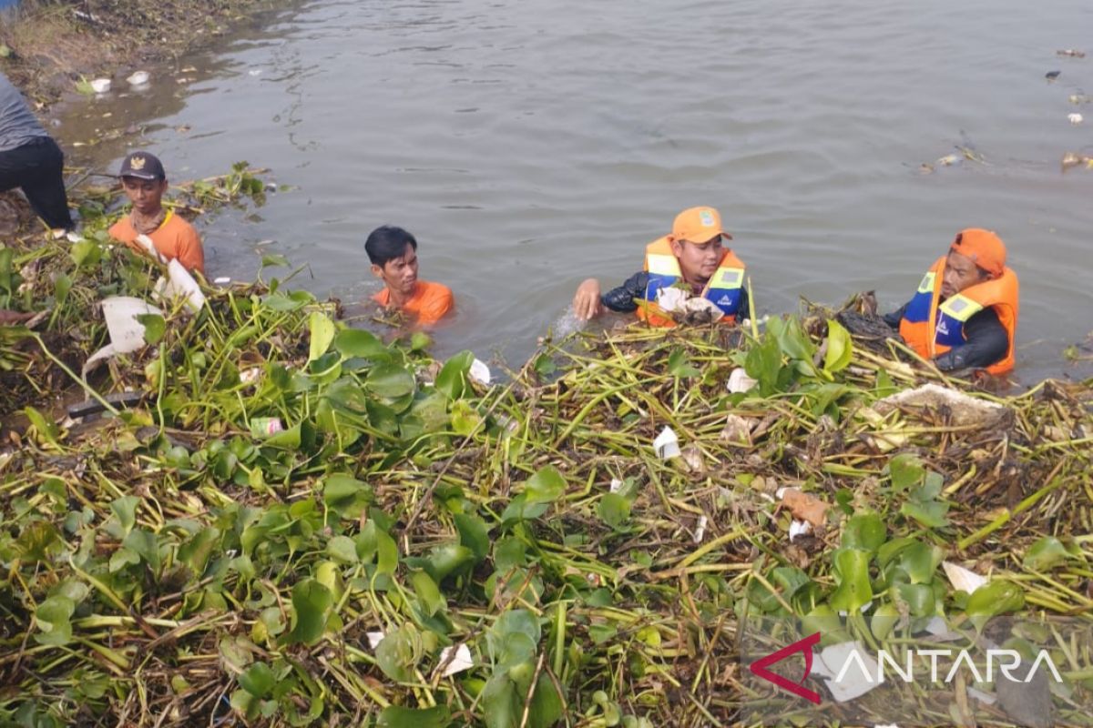DLH Bekasi angkut tumpukan sampah sungai antisipasi kekeringan sawah