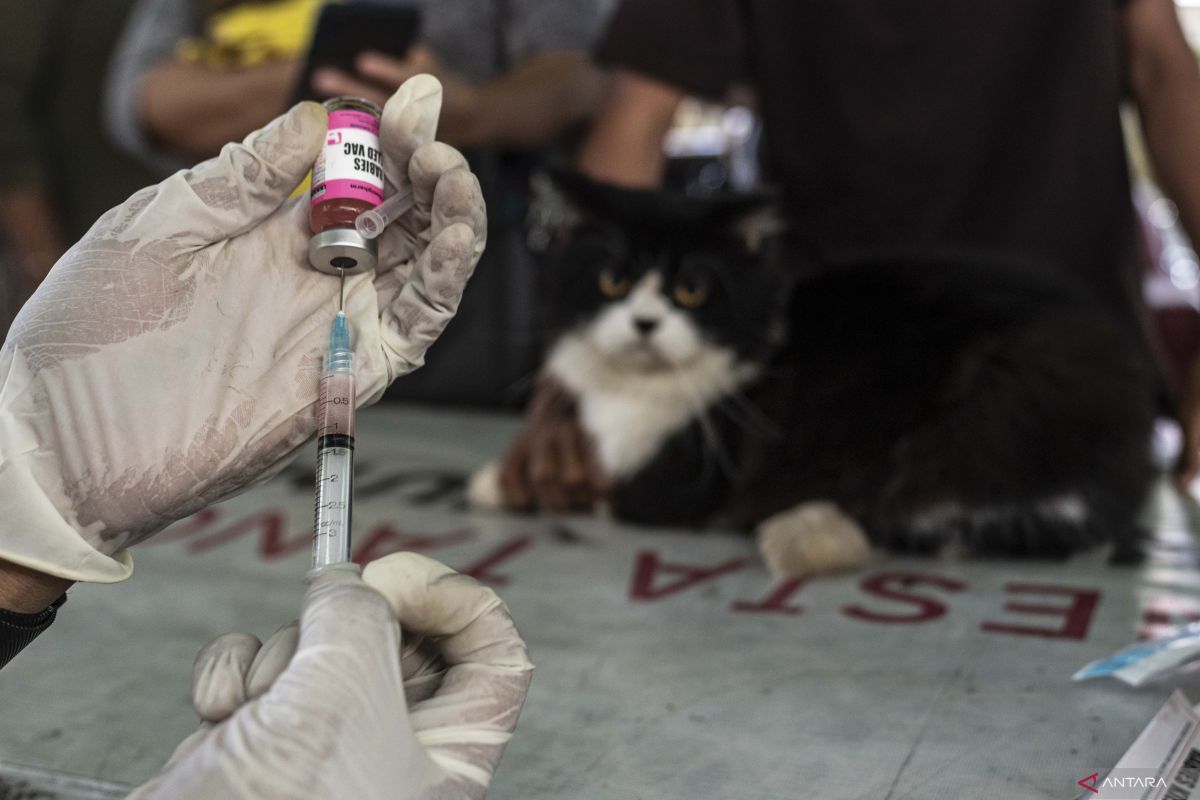 Vaksin rabies gratis di Tangerang, satu KTP untuk dua ekor hewan
