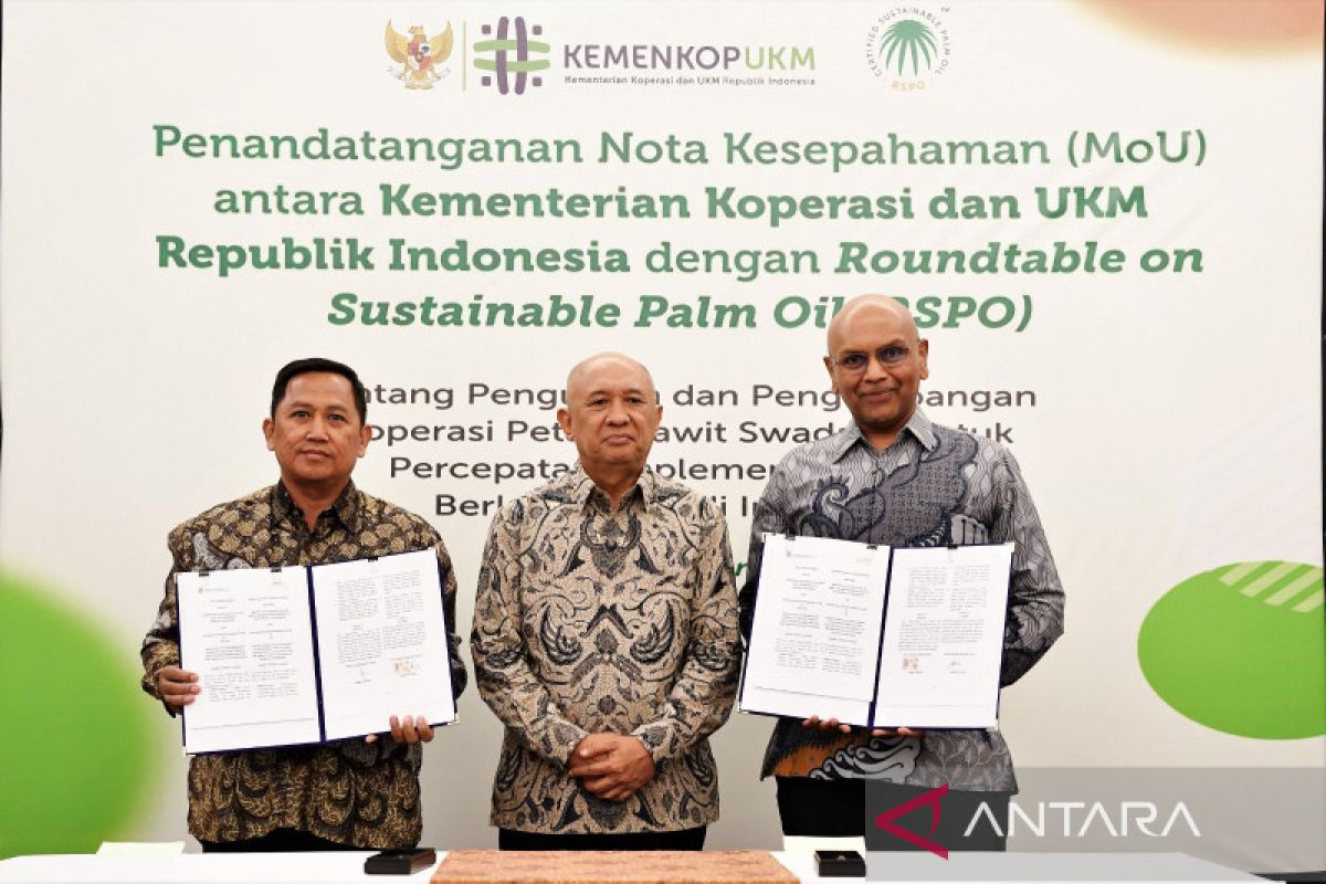 Ministry, RSPO agree to boost capacity of oil palm farmers