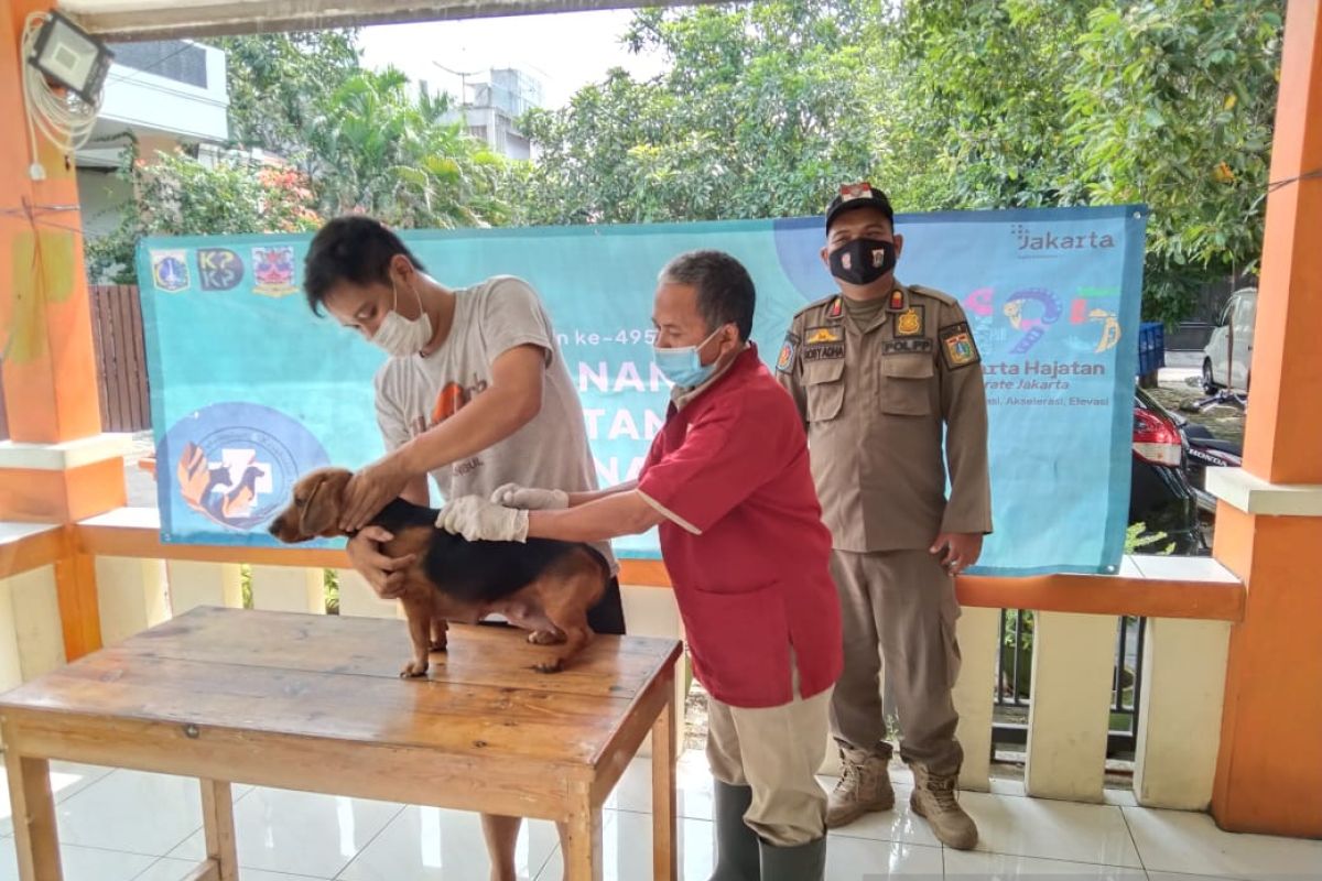 Jakarta Barat turunkan petugas ke kelurahan cegah rabies