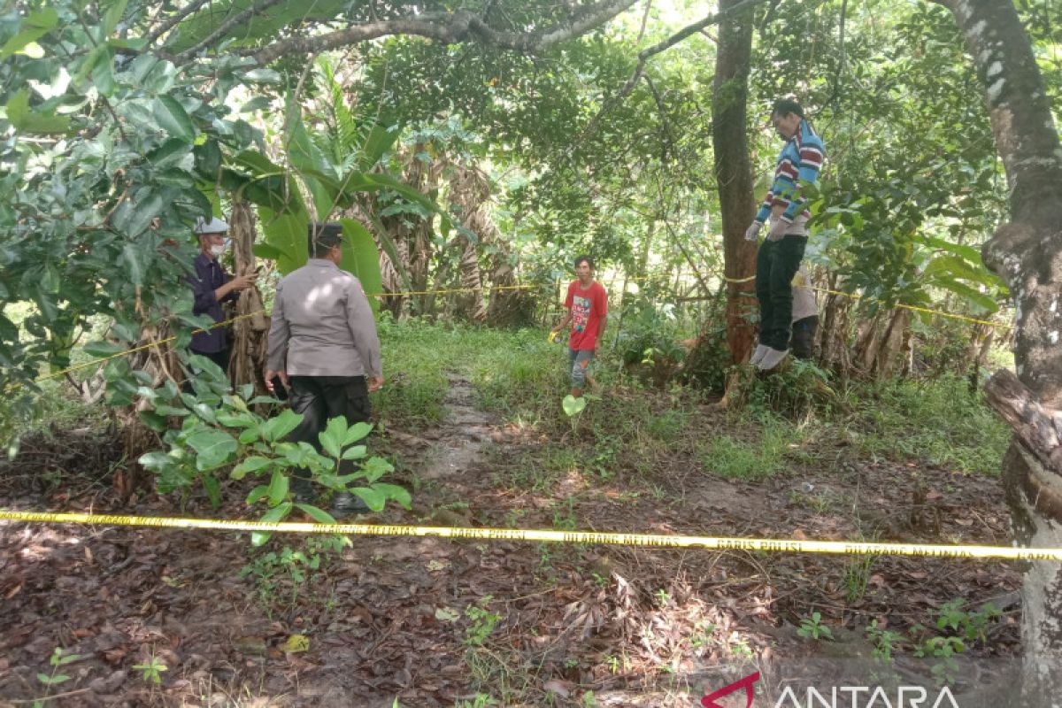 Polisi evakuasi jasad korban gantung diri di pohon rambutan